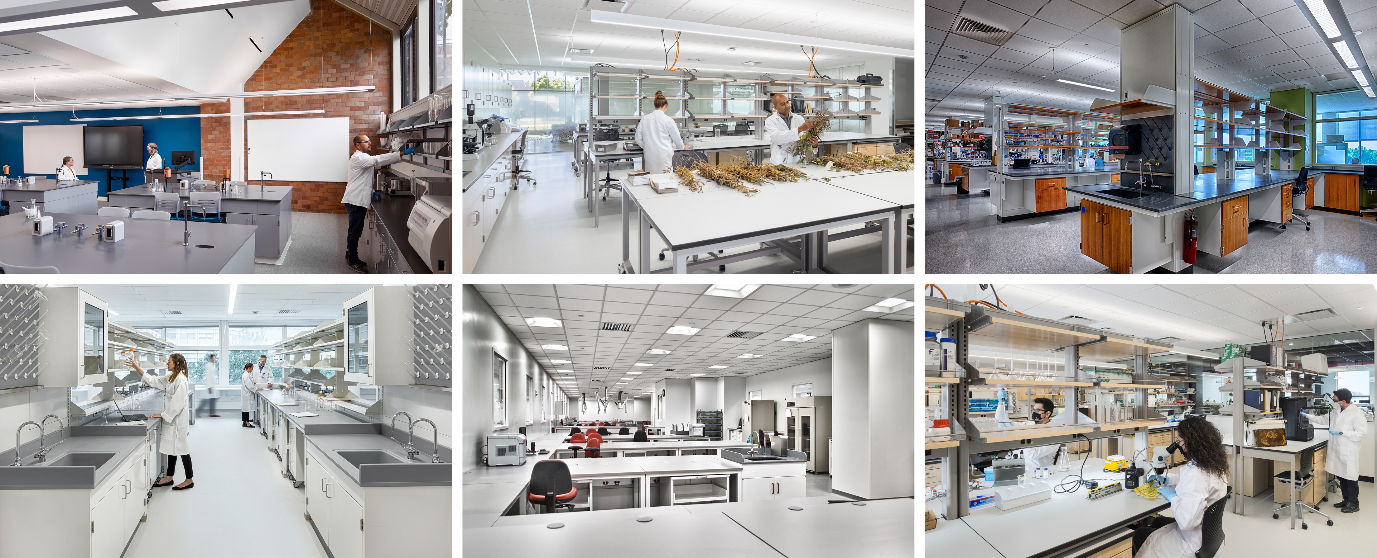 Lab Collage